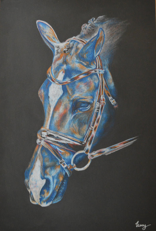 'Valegro' Horse Greeting, Birthday Card, Horsey Gift, Dressage Card