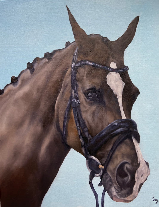 'Valegro' Horse Greeting, Birthday Card, Horsey Gift, Dressage Card